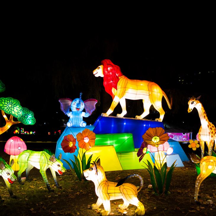 Chinese Lantern Festival Events For Project