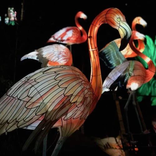 Ihana Chiense-lyhtyjuhlatapahtumashow